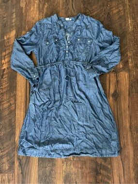 Women' Blue Denim Maternity Dress